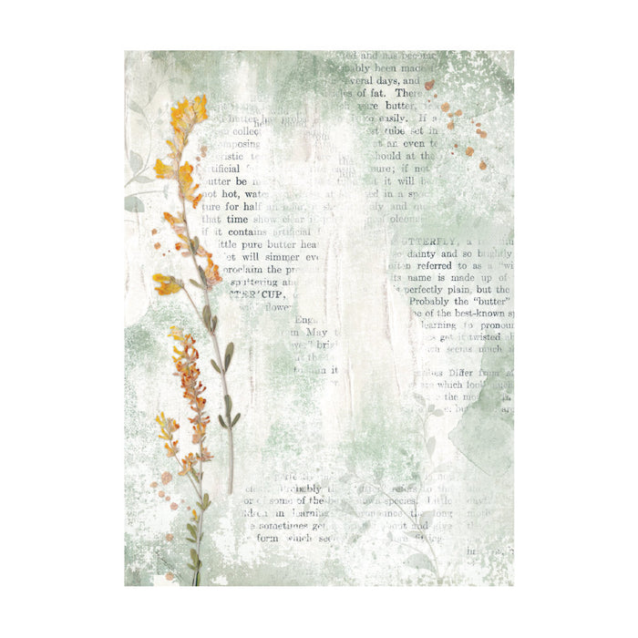 Stamperia Secret Diary A6 Rice Paper Backgrounds Pack