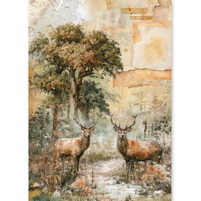 Ciao Bella Paper The Nature Journal A5 Mixed Rice Paper 8pc