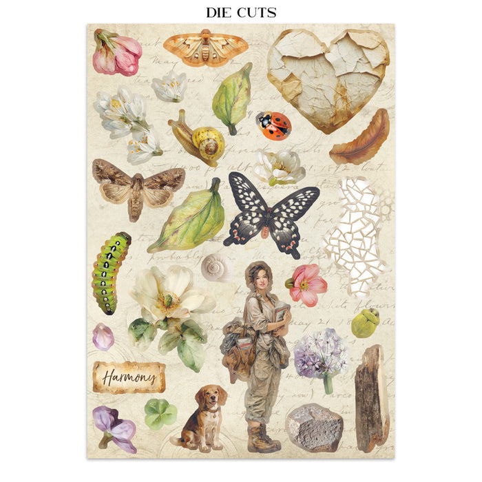 Stamperia Paper All Around Junk Journal Stickers Cut-outs Backgrounds