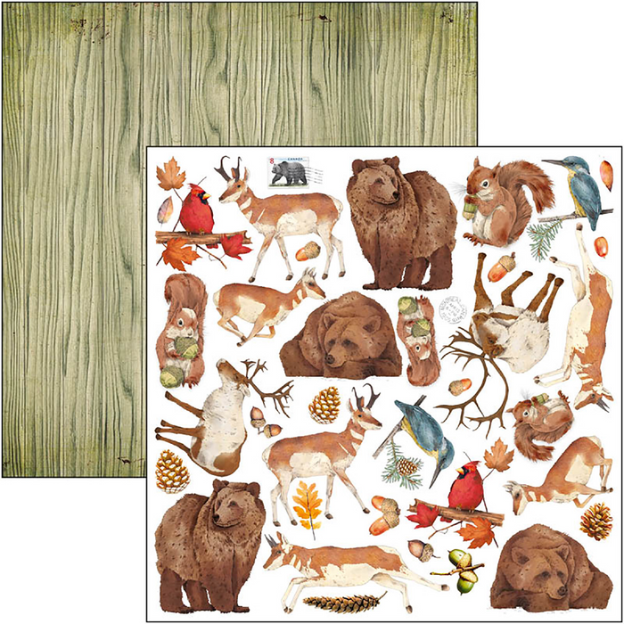 Ciao Bella Into The Wild 12" x 12" Patterns Scrapbooking Paper Set
