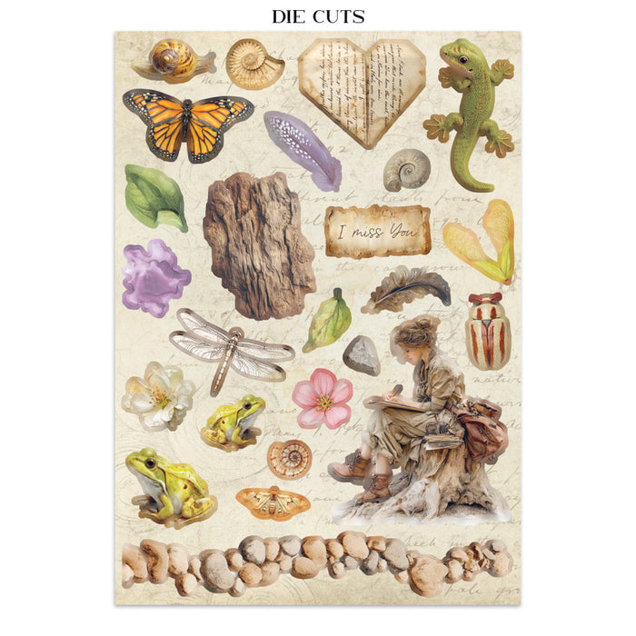 Stamperia Paper All Around Junk Journal Stickers Cut-outs Backgrounds
