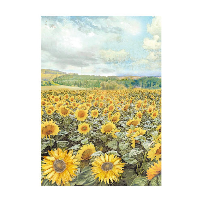 Stamperia Sunflower Art A6 Rice Paper Backgrounds Pack