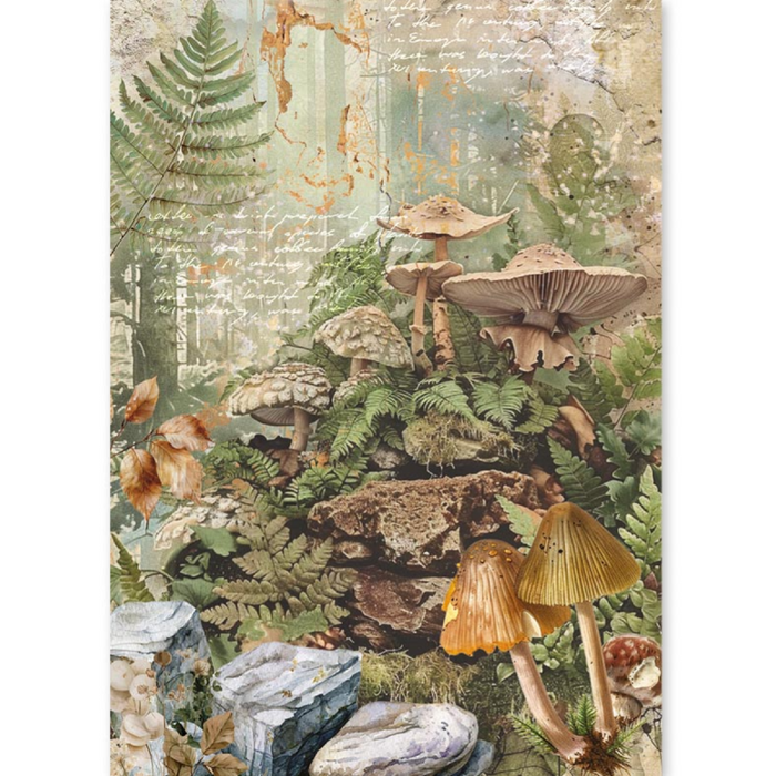 Ciao Bella Paper The Nature Journal A5 Mixed Rice Paper 8pc