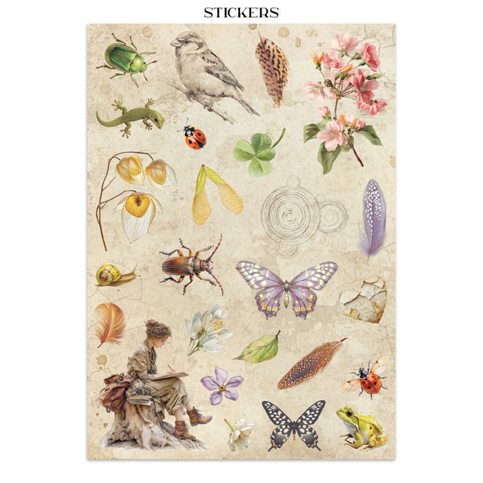 Stamperia Paper All Around Junk Journal Stickers Cut-outs Backgrounds