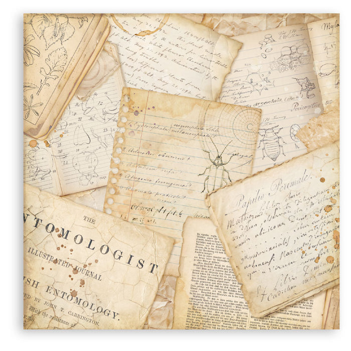 Stamperia All Around 12" x 12" Single Faced Maxi Paper Pad
