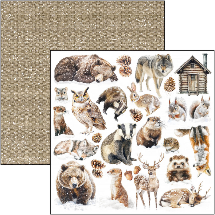 Ciao Bella Forest Tales 12" x 12" Patterns Scrapbooking Paper Set