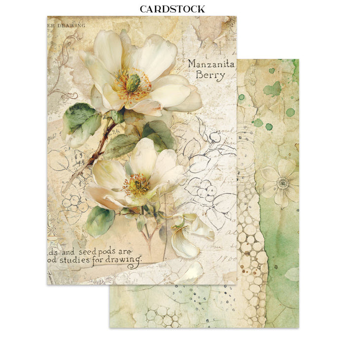 Stamperia Paper All Around A5 Junk Journal Focus Points