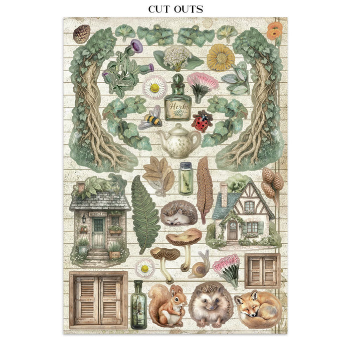 Stamperia Herbarium Silvae Junk Journal Stickers Cut-outs Backgrounds