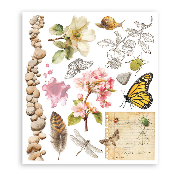 Stamperia Paper All Around Rub On Transfers - Assorted Pack