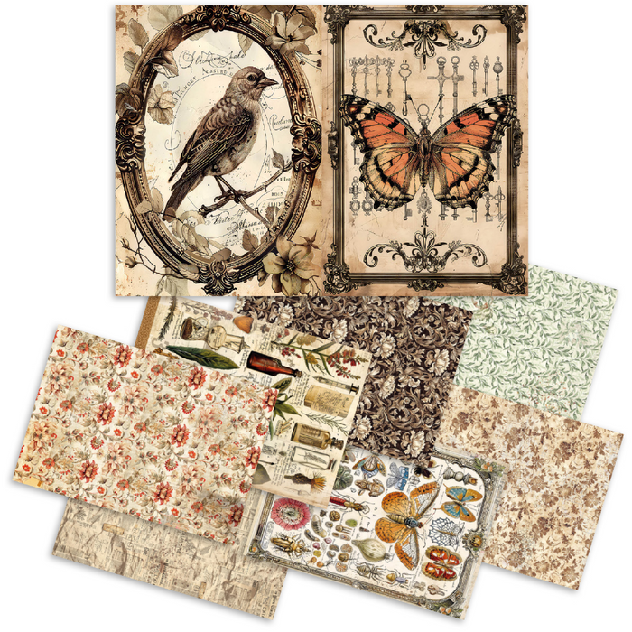 Ciao Bella Cabinet of Curiosities A5 Mixed Rice Paper 8pc