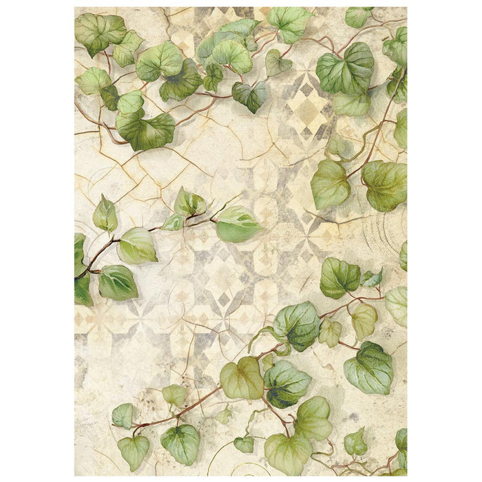 Stamperia Paper All Around A6 Rice Paper Backgrounds Pack