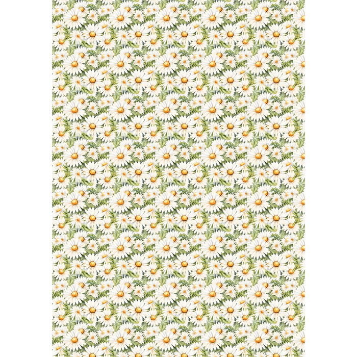 Ciao Bella Woodland Party A5 Mixed Rice Paper 8pc