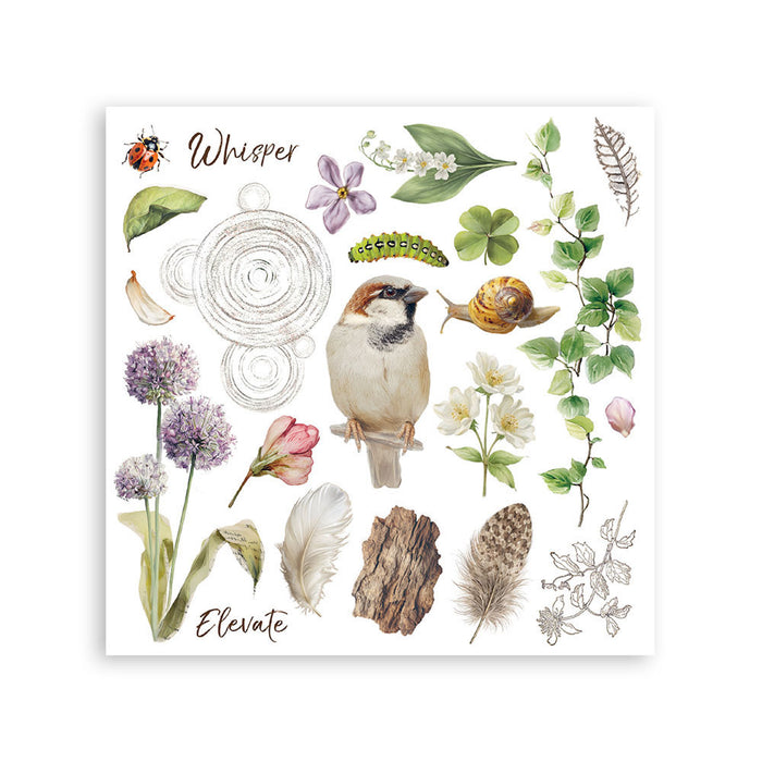Stamperia Paper All Around Rub On Transfers - Assorted Pack