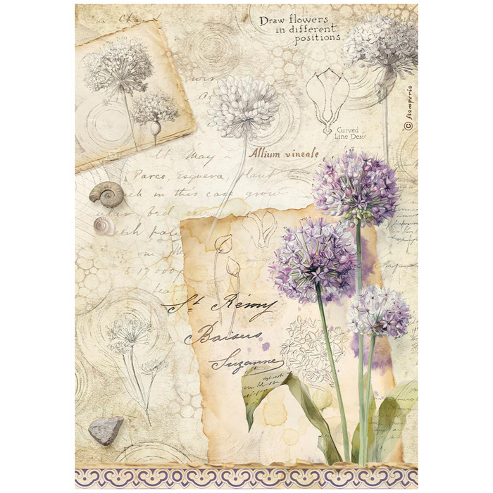 Stamperia Paper All Around A4 Rice Paper Pack
