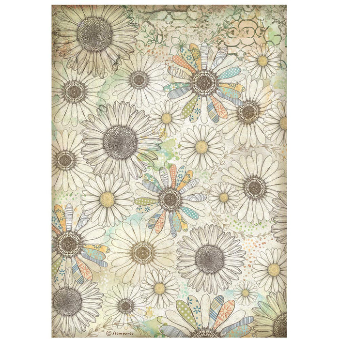 Stamperia Daisy Art A4 Rice Paper Pack