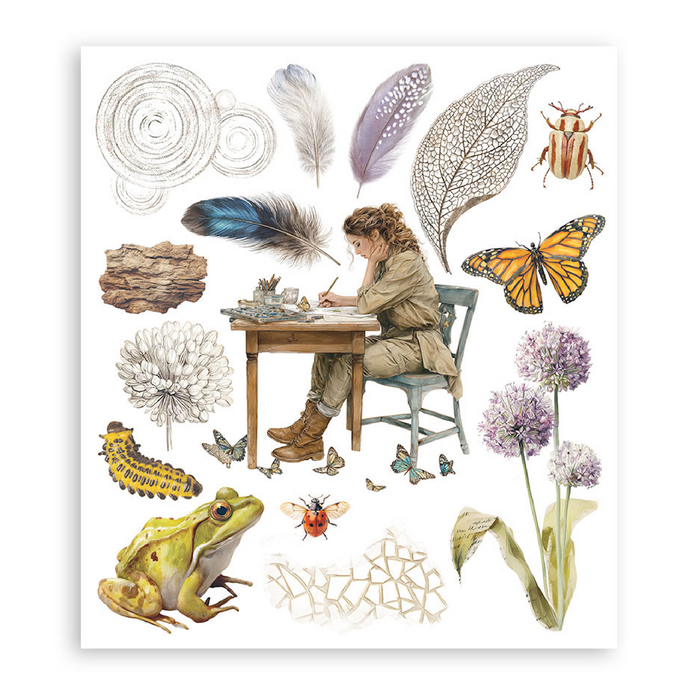Stamperia Paper All Around Rub On Transfers - Assorted Pack