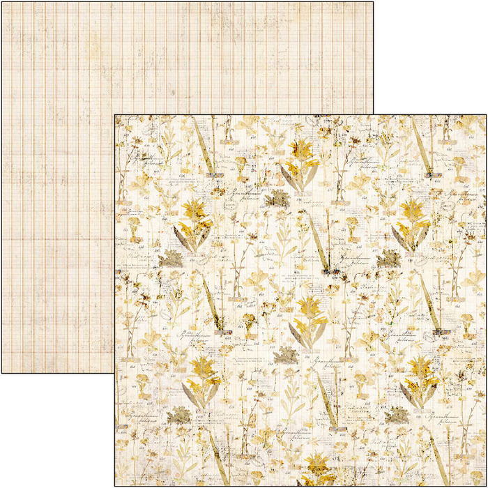 Ciao Bella Paper Wizard Academy 8" x 8" Scrapbooking Paper Set