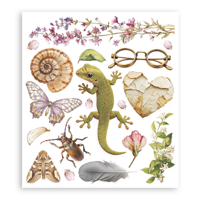 Stamperia Paper All Around Rub On Transfers - Assorted Pack
