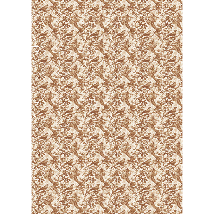 Ciao Bella Book Lovers A5 Mixed Rice Paper 8pc