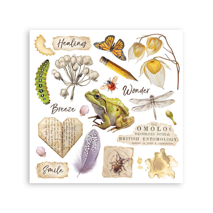 Stamperia Paper All Around Rub On Transfers - Assorted Pack