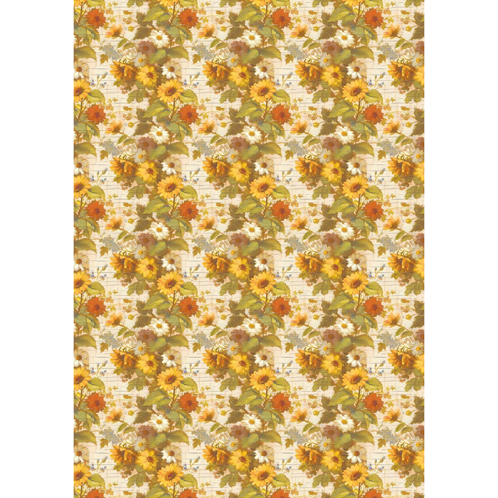 Ciao Bella Yellowstone A5 Mixed Rice Paper 8pc