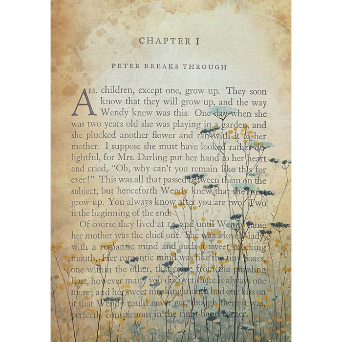 Ciao Bella Neverland A5 Mixed Rice Paper 8pc