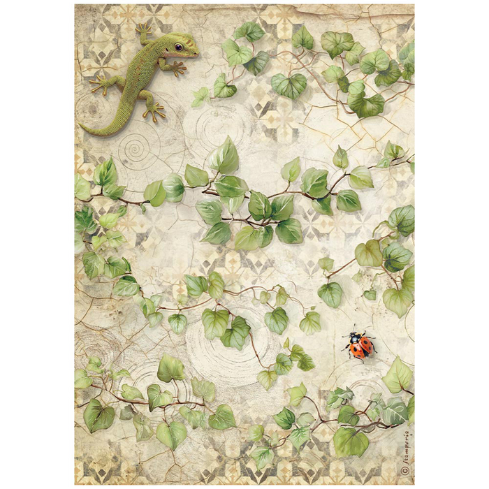 Stamperia Paper All Around A4 Rice Paper Pack