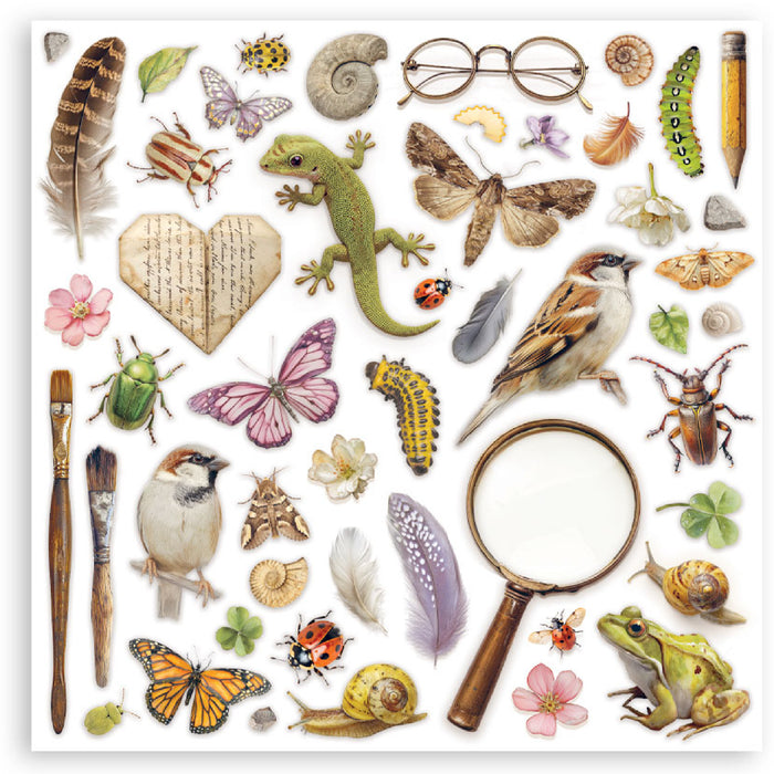 Stamperia All Around 8" x 8" Scrapbooking Paper Pad