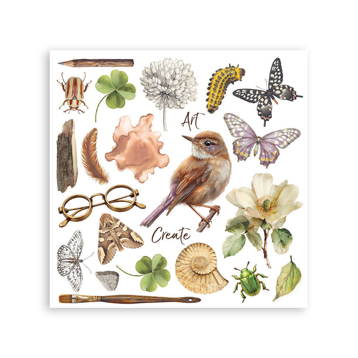 Stamperia Paper All Around Rub On Transfers - Assorted Pack