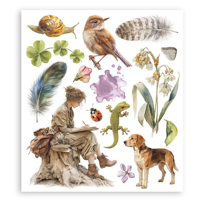 Stamperia Paper All Around Rub On Transfers - Assorted Pack