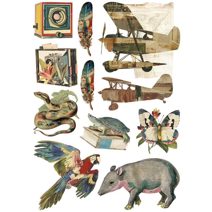 Ciao Bella Jungle Vibes A5 Mixed Rice Paper 8pc