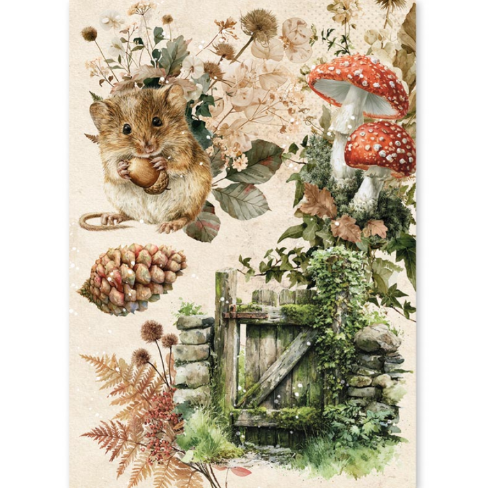 Ciao Bella Paper The Nature Journal A5 Mixed Rice Paper 8pc