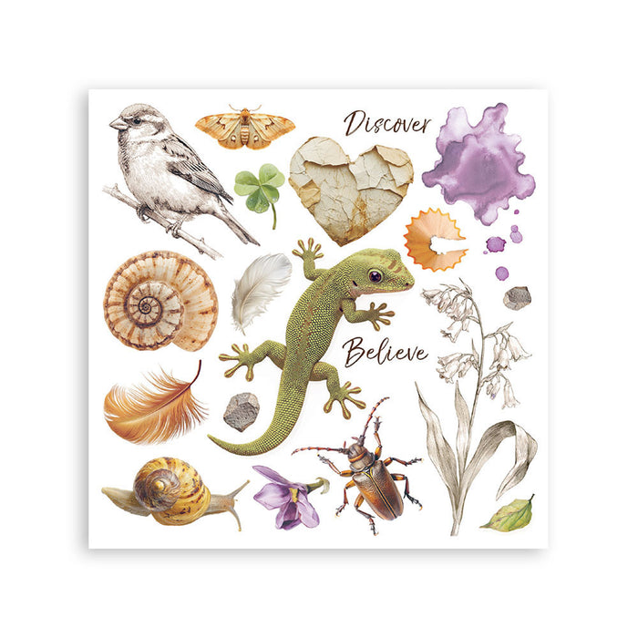 Stamperia Paper All Around Rub On Transfers - Assorted Pack