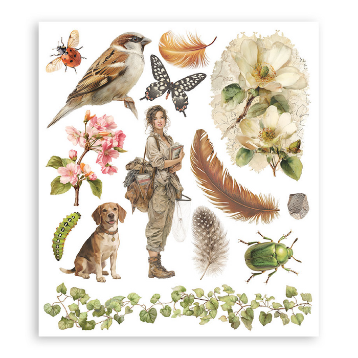 Stamperia Paper All Around Rub On Transfers - Assorted Pack