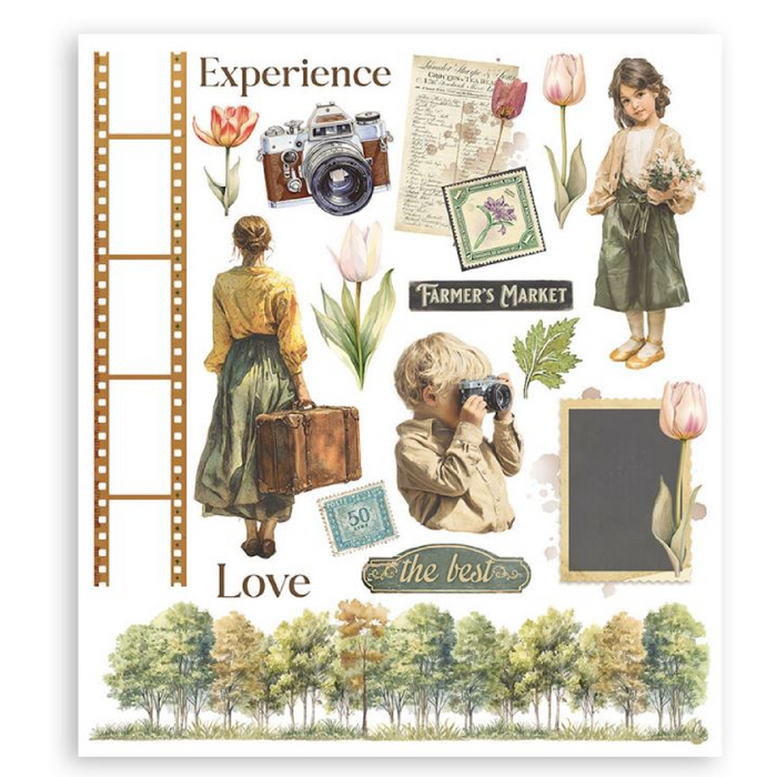 Stamperia Art Of Travelling Rub On Transfers - Assorted Pack
