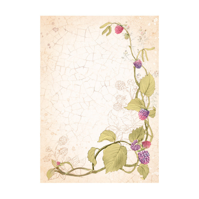 Stamperia Woodland A6 Rice Paper Backgrounds Pack