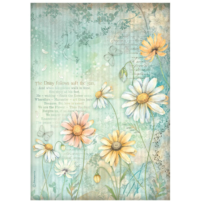Stamperia Daisy Art A4 Rice Paper Pack