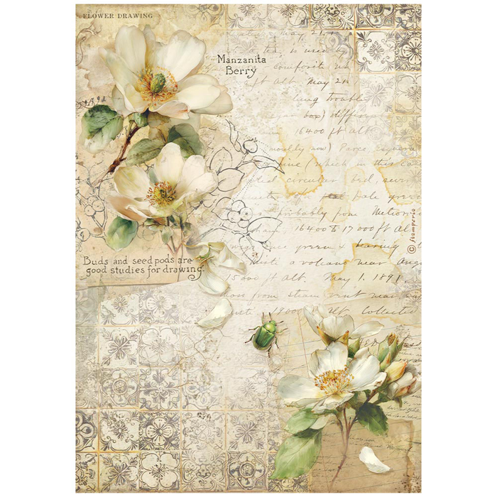 Stamperia Paper All Around A4 Rice Paper Pack