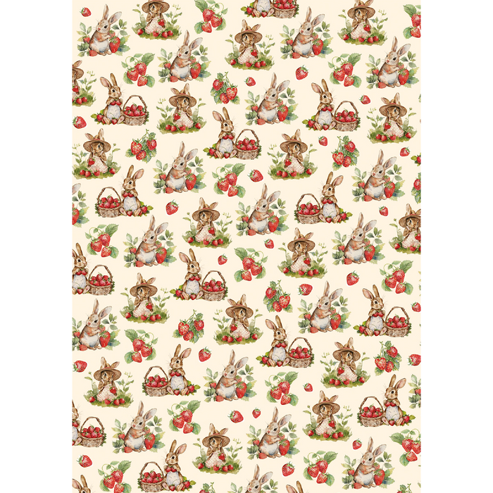 Ciao Bella Woodland Party A5 Mixed Rice Paper 8pc
