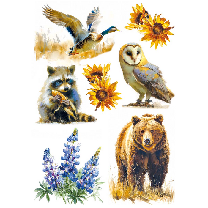 Ciao Bella Yellowstone A5 Mixed Rice Paper 8pc