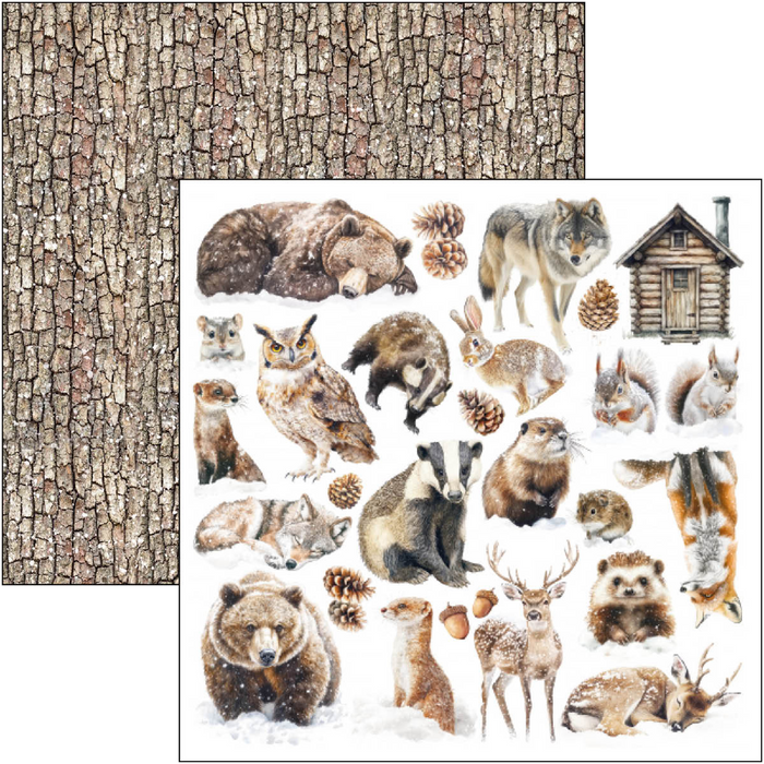 Ciao Bella Forest Tales 8" x 8" Scrapbooking Paper Set