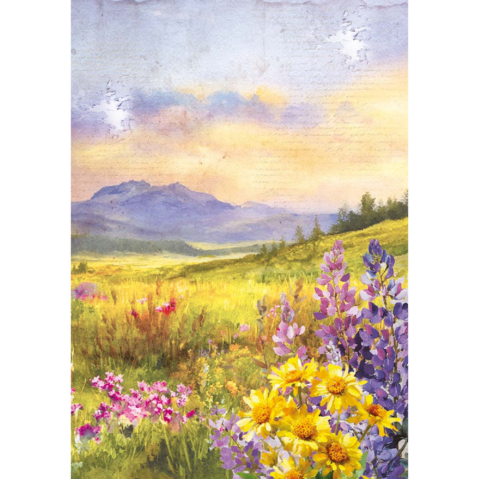 Ciao Bella Yellowstone A5 Mixed Rice Paper 8pc