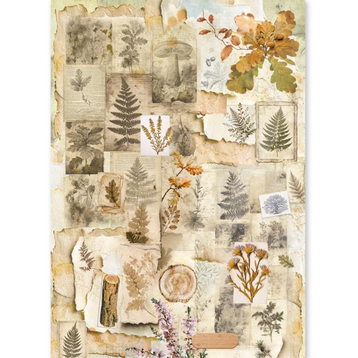 Ciao Bella Paper The Nature Journal A5 Mixed Rice Paper 8pc