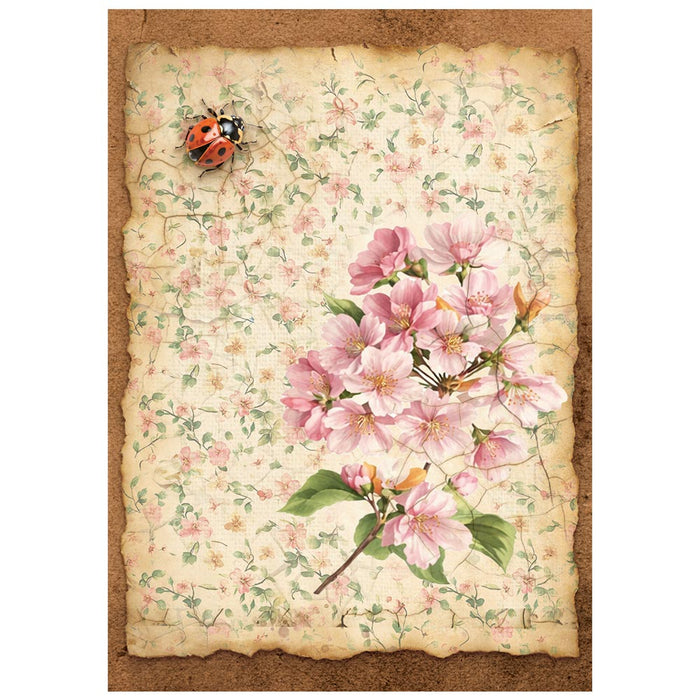 Stamperia Paper All Around A6 Rice Paper Pack
