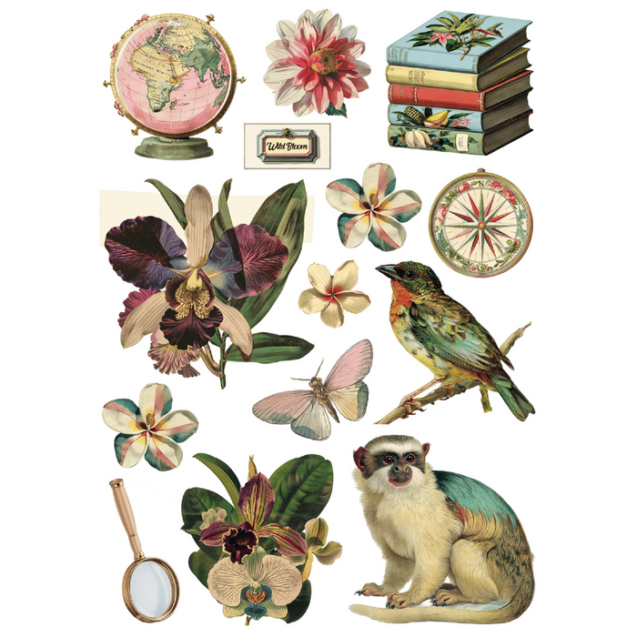 Ciao Bella Jungle Vibes A5 Mixed Rice Paper 8pc