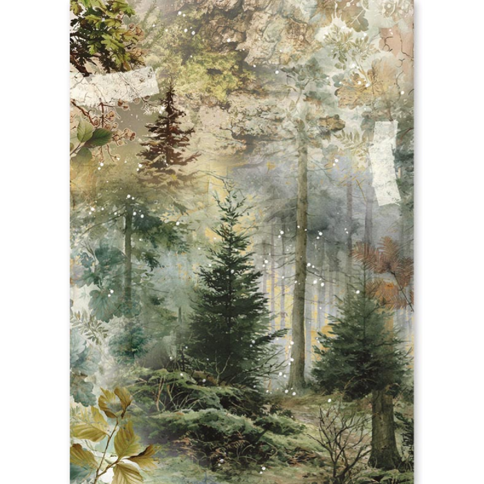 Ciao Bella Paper The Nature Journal A5 Mixed Rice Paper 8pc