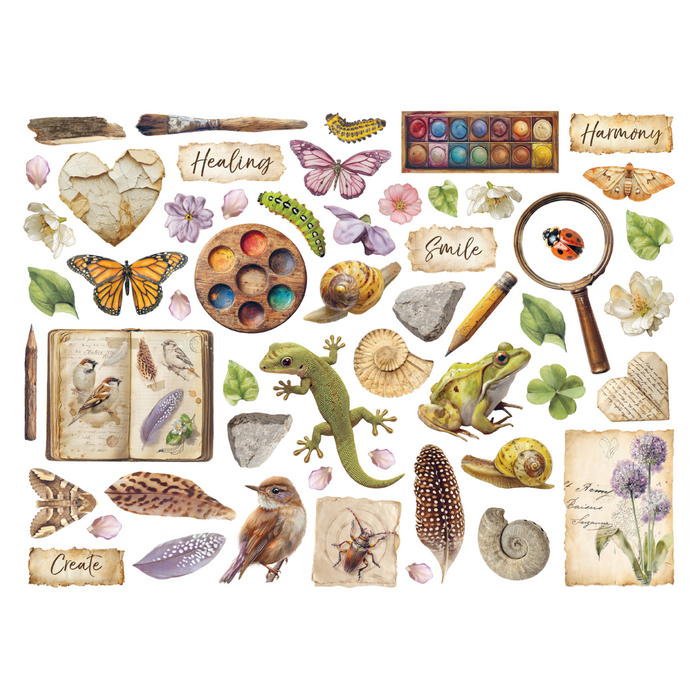 Stamperia All Around Assorted Die Cuts