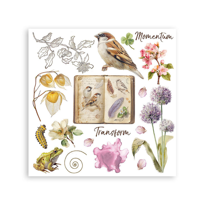 Stamperia Paper All Around Rub On Transfers - Assorted Pack