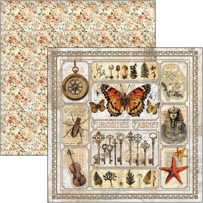 Ciao Bella Cabinet Of Curiosities 12" x 12" Scrapbooking Paper Set