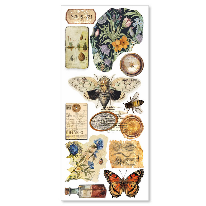 Ciao Bella Cabinet Of Curiosities Art Transparent Stickers 5pc